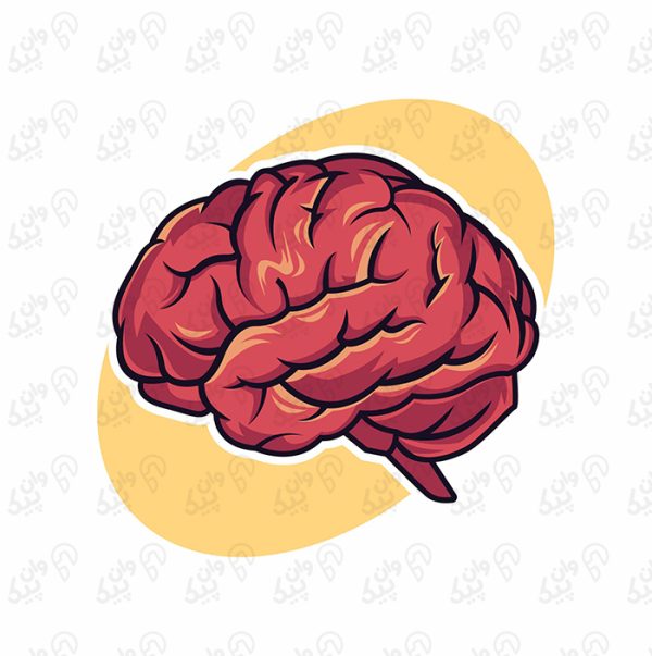 وکتور طراحی لوگو کارتونی مغز زیبا جدا شده